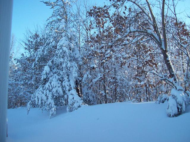 Snowmaggedeon 2011