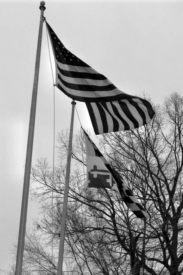 photo by Amberlyn 2-11-12
